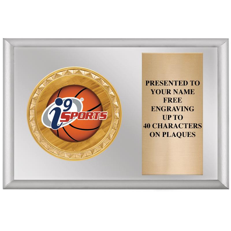 6" X 4" SILVER INSERT PLQ