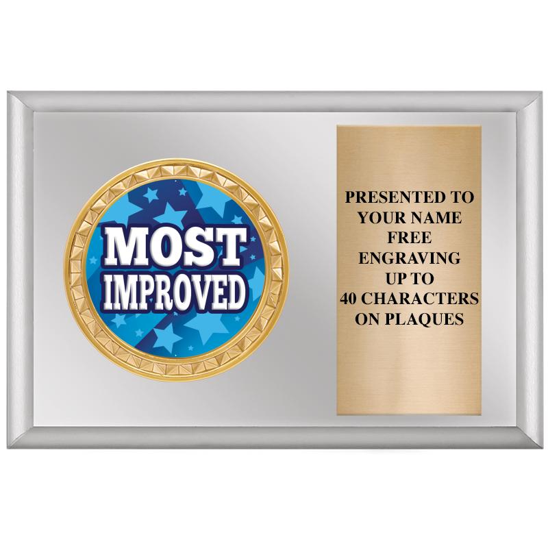 6" X 4" SILVER INSERT PLQ