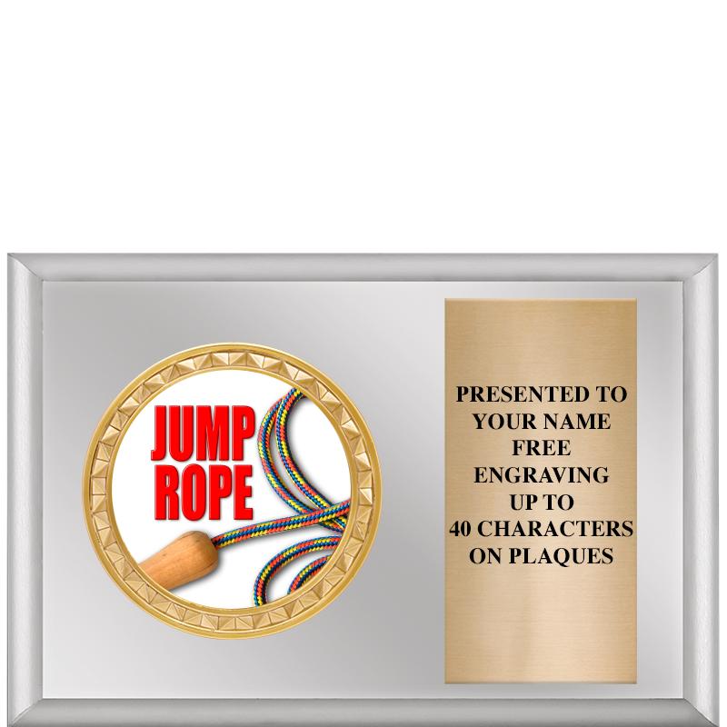 6" X 4" SILVER INSERT PLQ