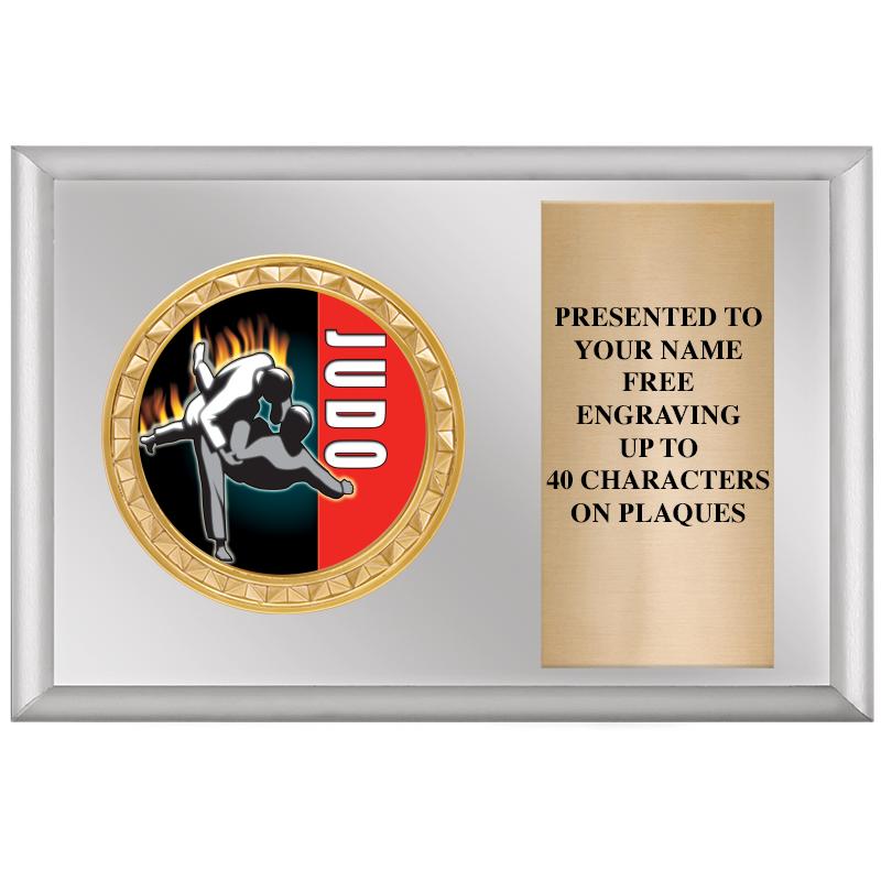 6" X 4" SILVER INSERT PLQ