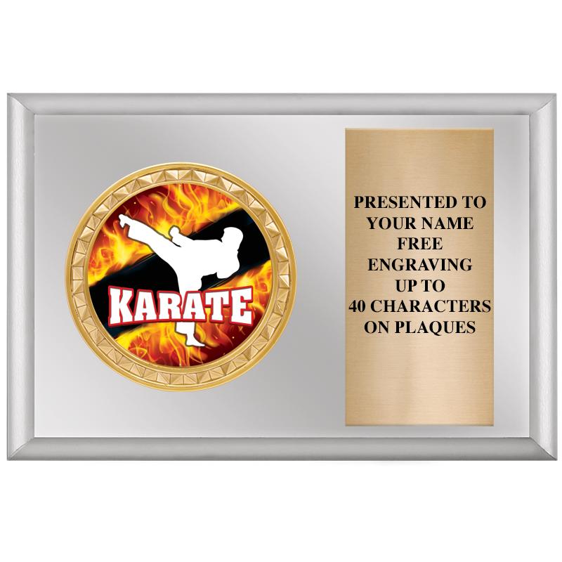 6" X 4" SILVER INSERT PLQ