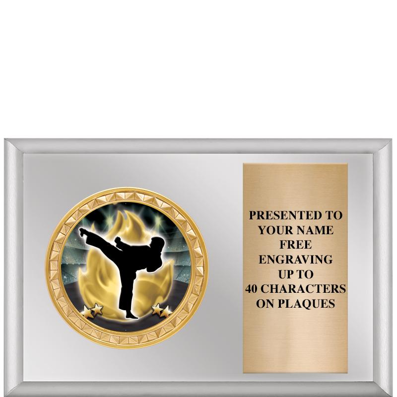 6" X 4" SILVER INSERT PLQ