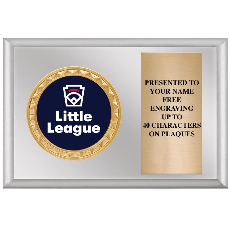 6" X 4" SILVER INSERT PLQ