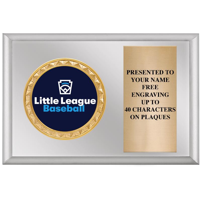 6" X 4" SILVER INSERT PLQ