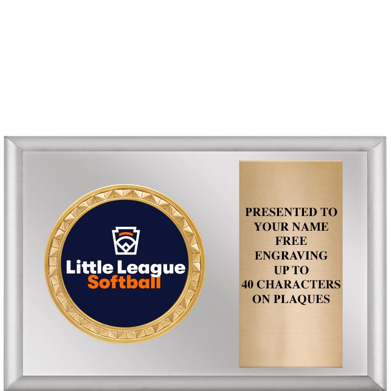 6" X 4" SILVER INSERT PLQ