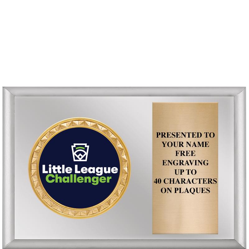 6" X 4" SILVER INSERT PLQ