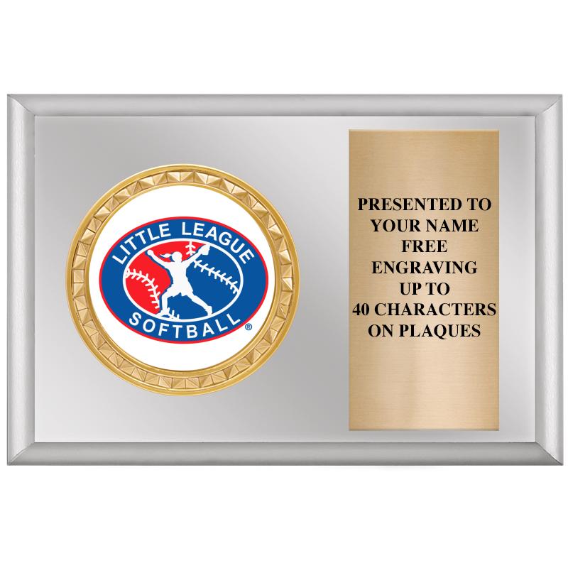 6" X 4" SILVER INSERT PLQ