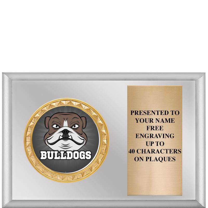 6" X 4" SILVER INSERT PLQ