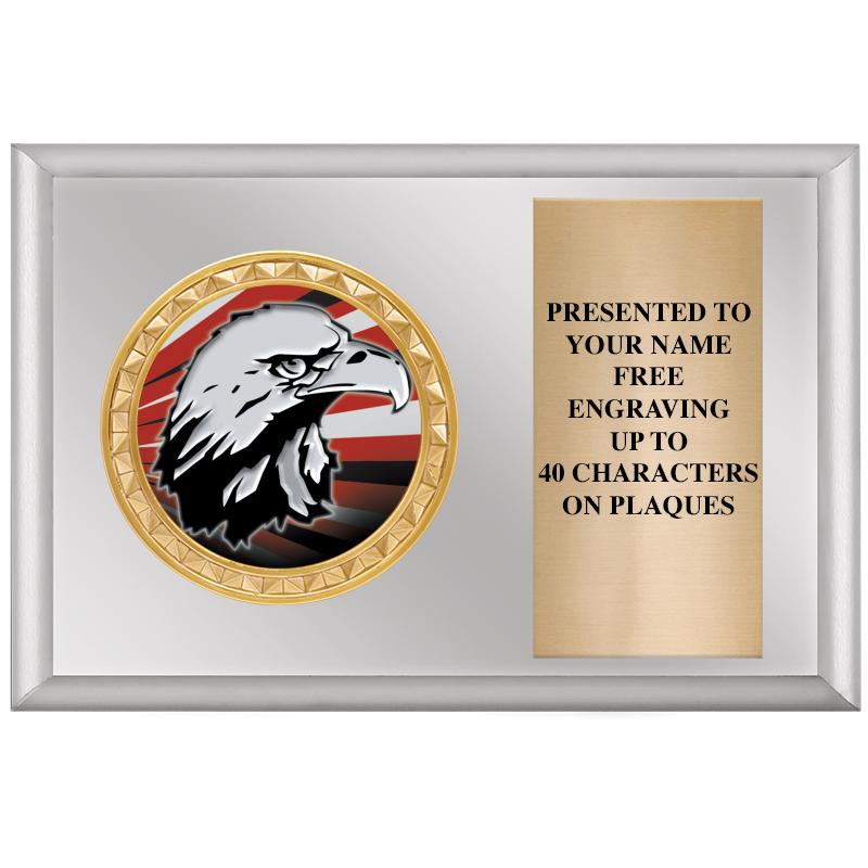 6" X 4" SILVER INSERT PLQ