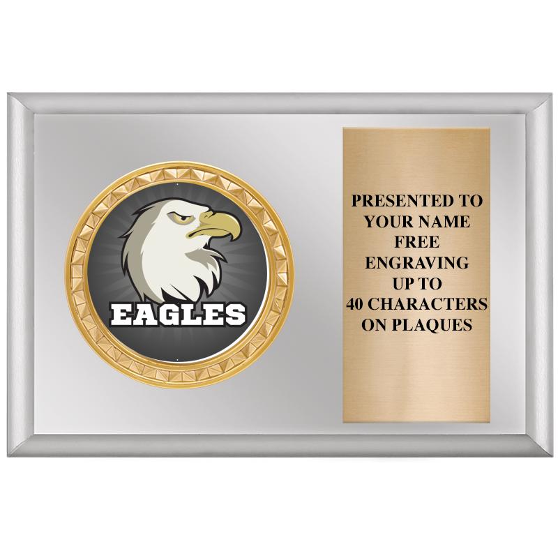 6" X 4" SILVER INSERT PLQ