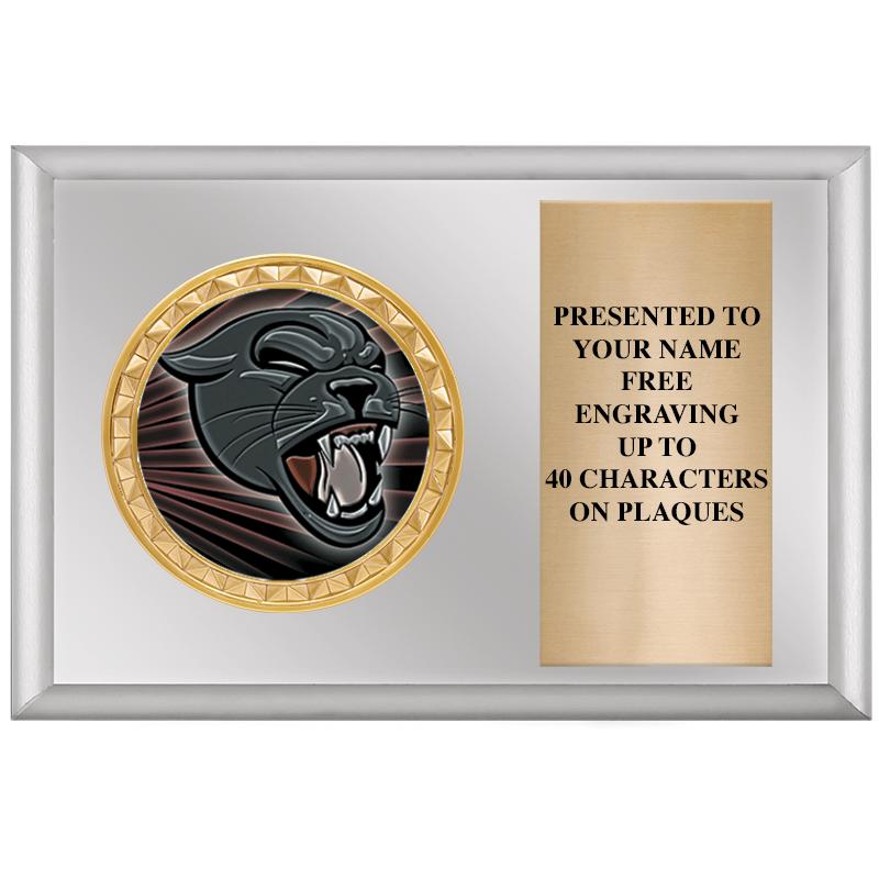 6" X 4" SILVER INSERT PLQ