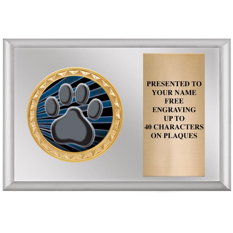 6" X 4" SILVER INSERT PLQ