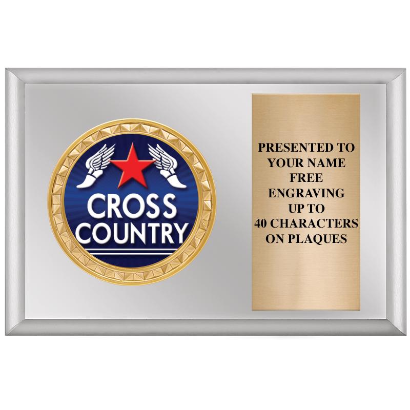 6" X 4" SILVER INSERT PLQ