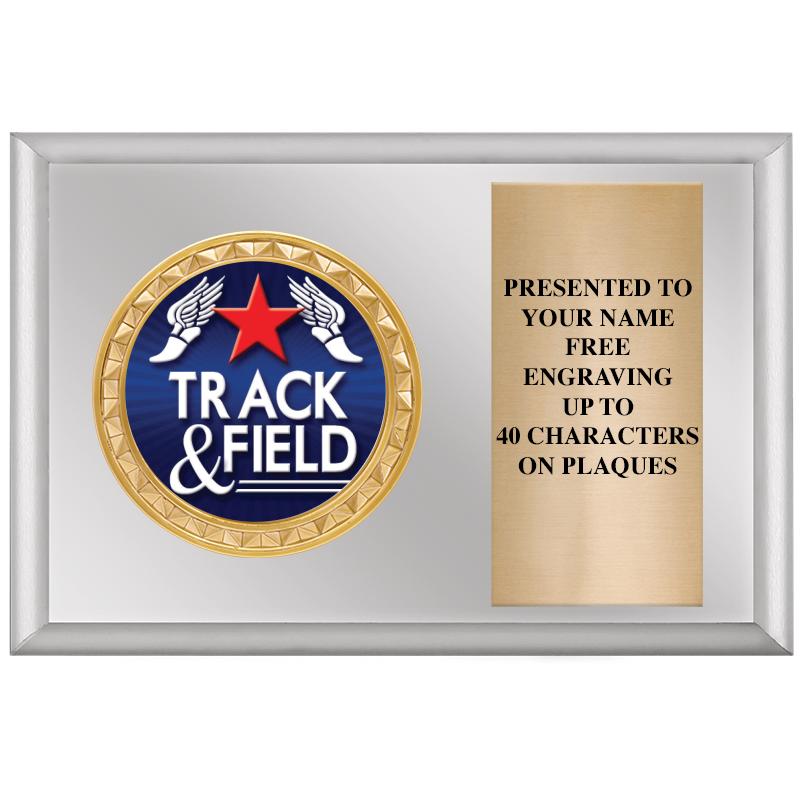 6" X 4" SILVER INSERT PLQ