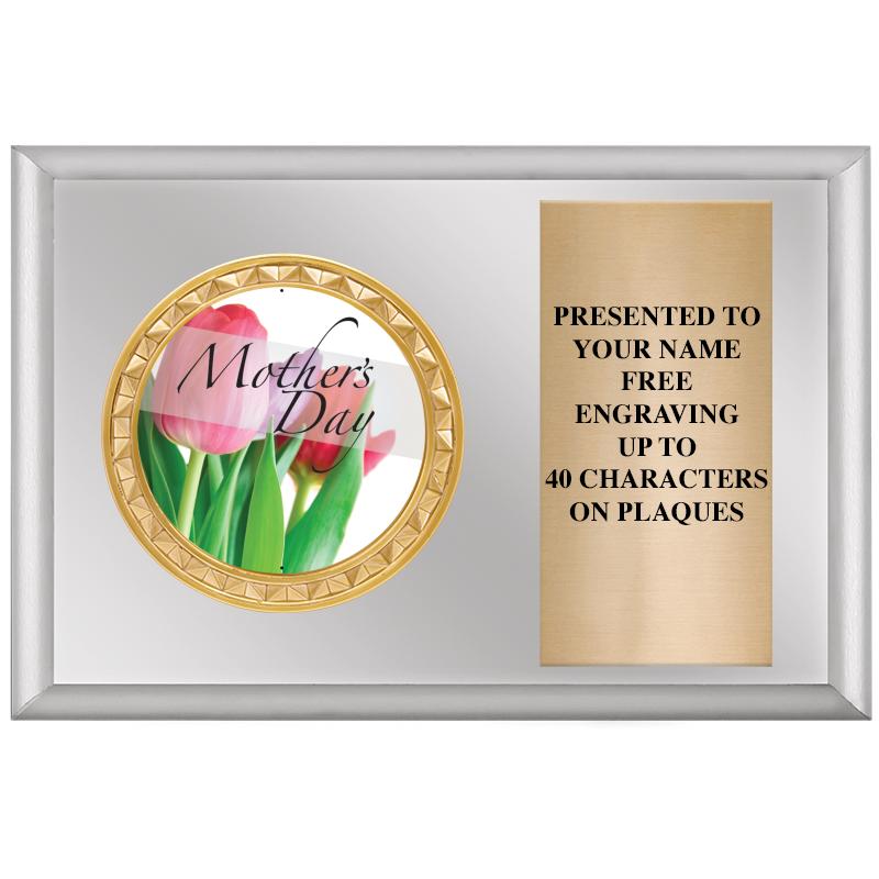 6" X 4" SILVER INSERT PLQ