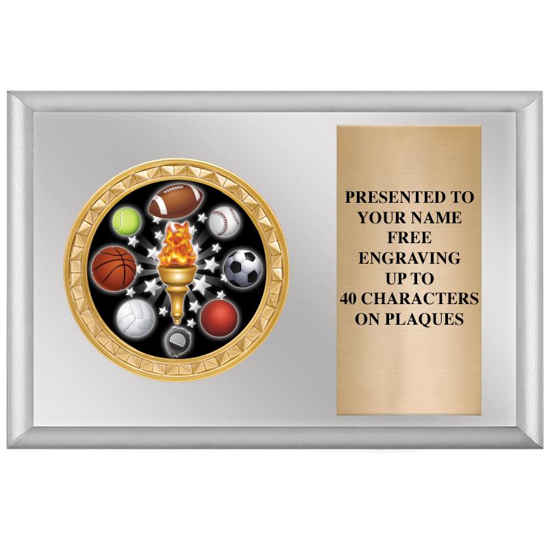 6" X 4" SILVER INSERT PLQ