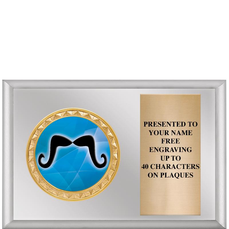 6" X 4" SILVER INSERT PLQ