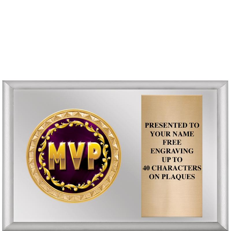 6" X 4" SILVER INSERT PLQ