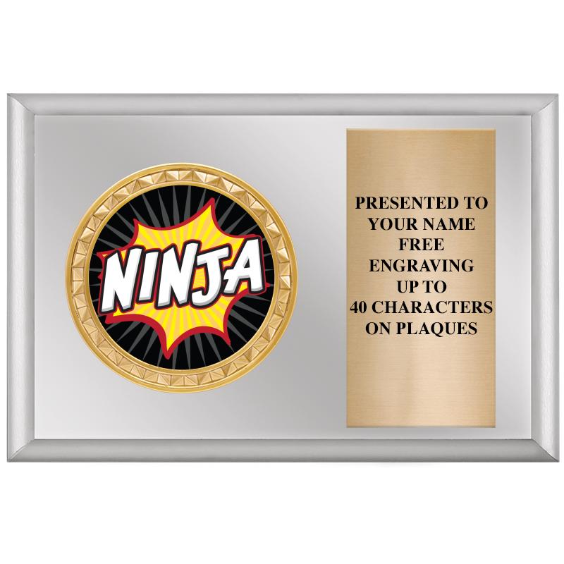 6" X 4" SILVER INSERT PLQ