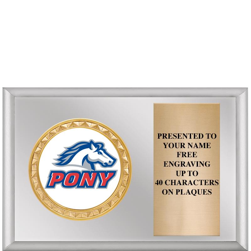 6" X 4" SILVER INSERT PLQ