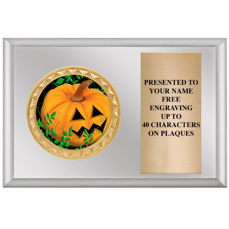 6" X 4" SILVER INSERT PLQ