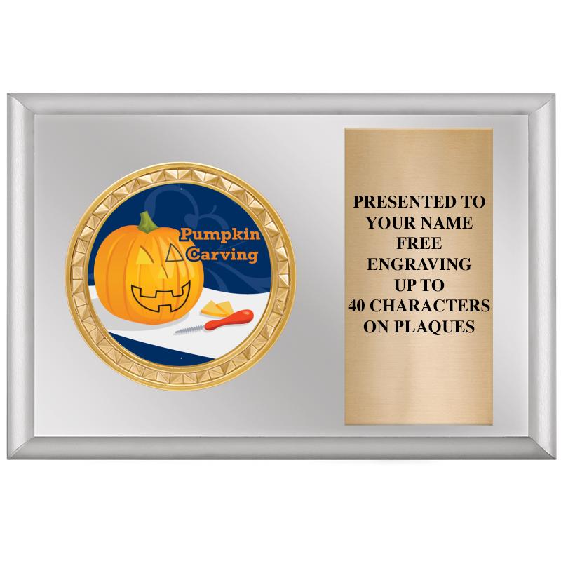 6" X 4" SILVER INSERT PLQ