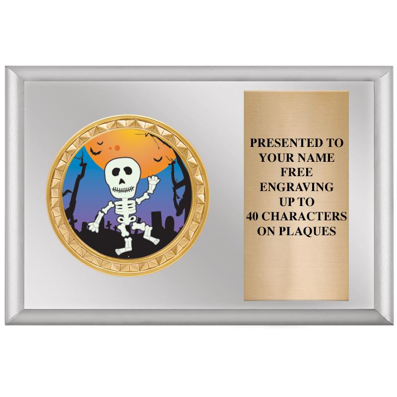 6" X 4" SILVER INSERT PLQ