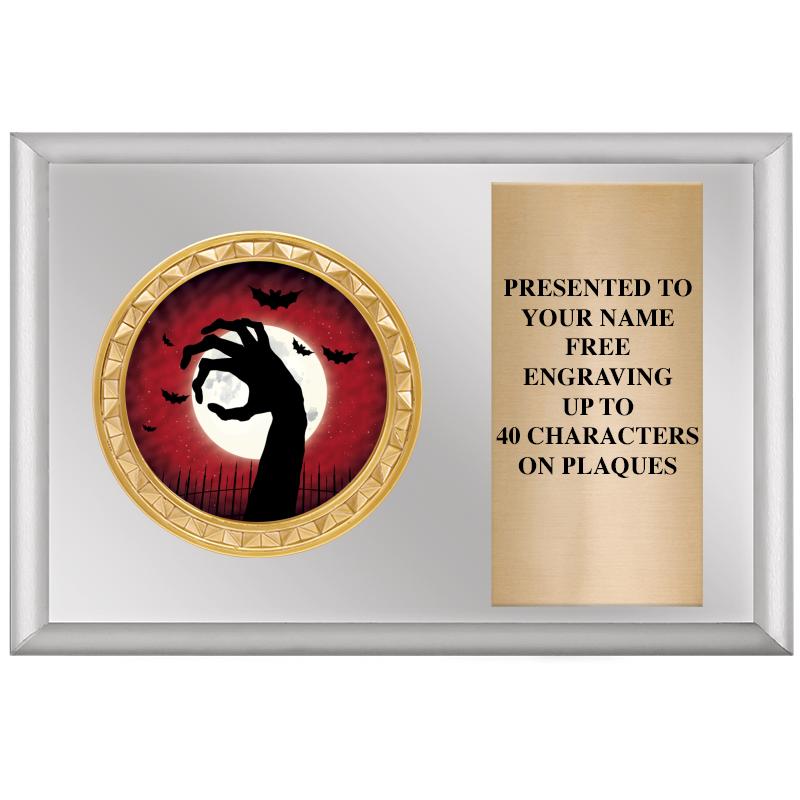 6" X 4" SILVER INSERT PLQ