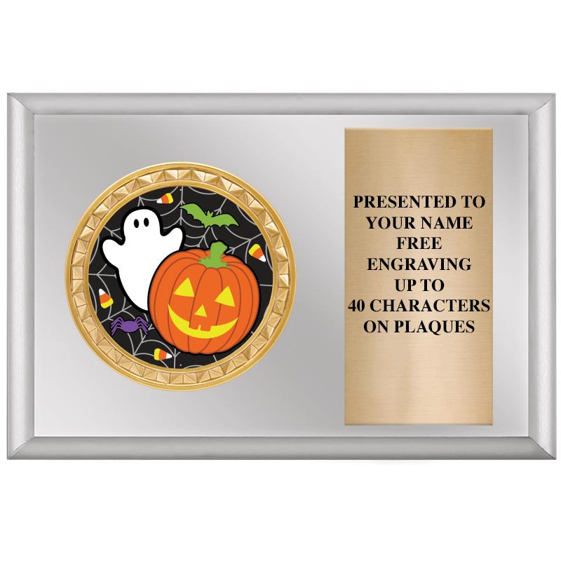 6" X 4" SILVER INSERT PLQ