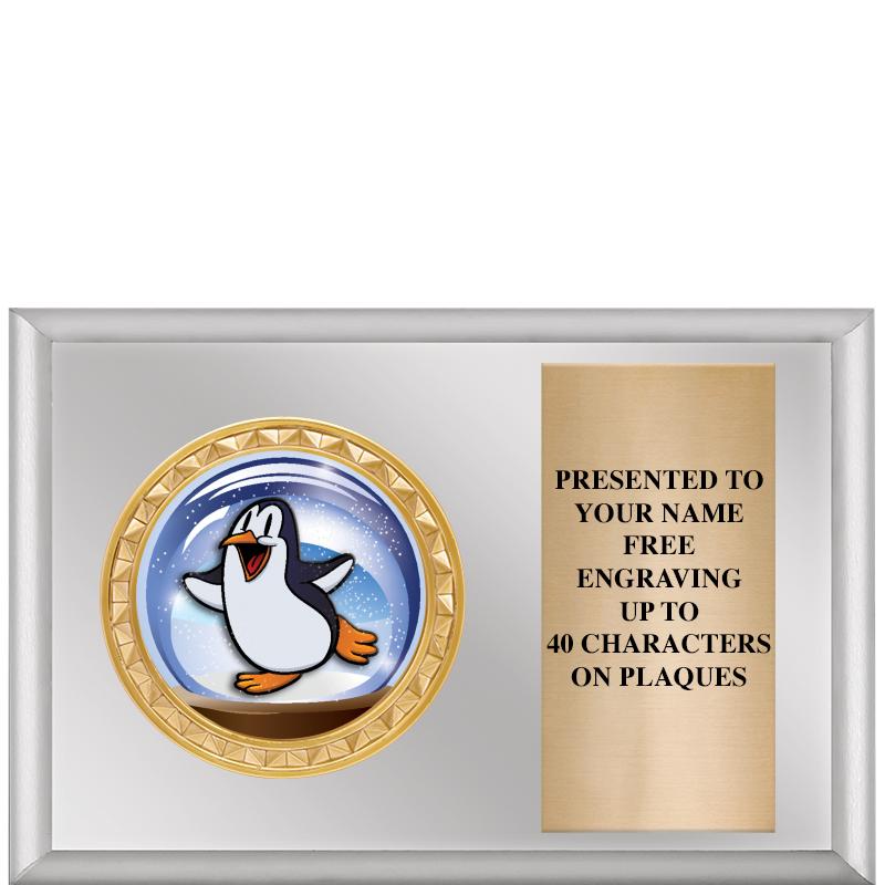 6" X 4" SILVER INSERT PLQ