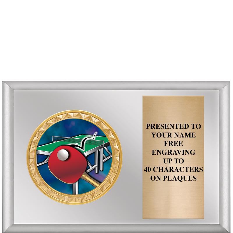 6" X 4" SILVER INSERT PLQ