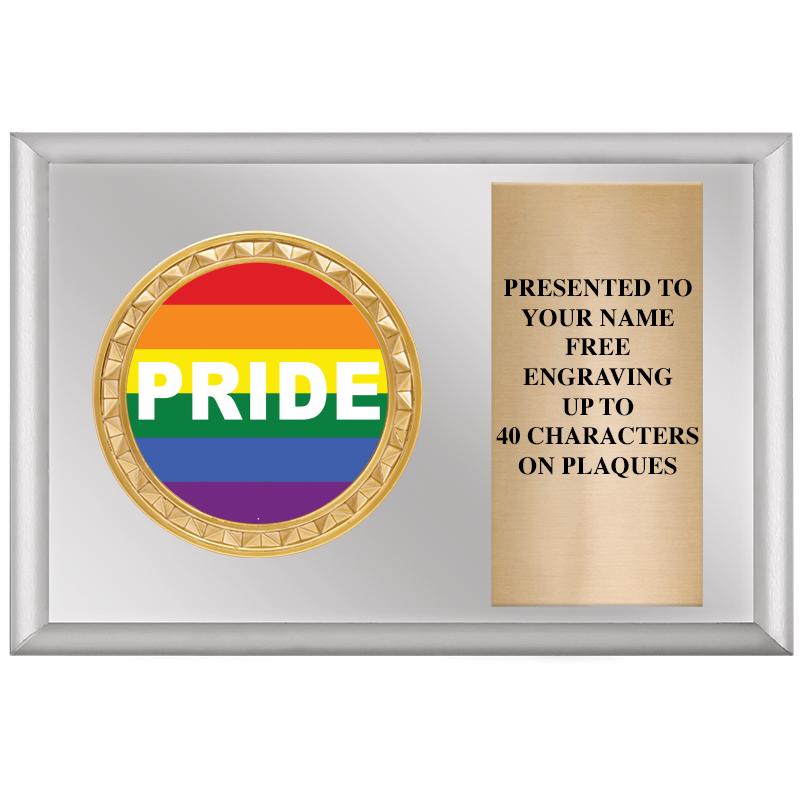 6" X 4" SILVER INSERT PLQ