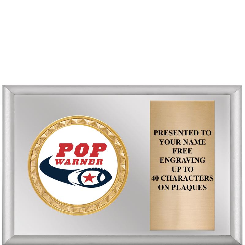 6" X 4" SILVER INSERT PLQ