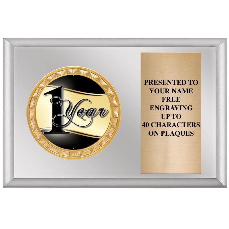 6" X 4" SILVER INSERT PLQ