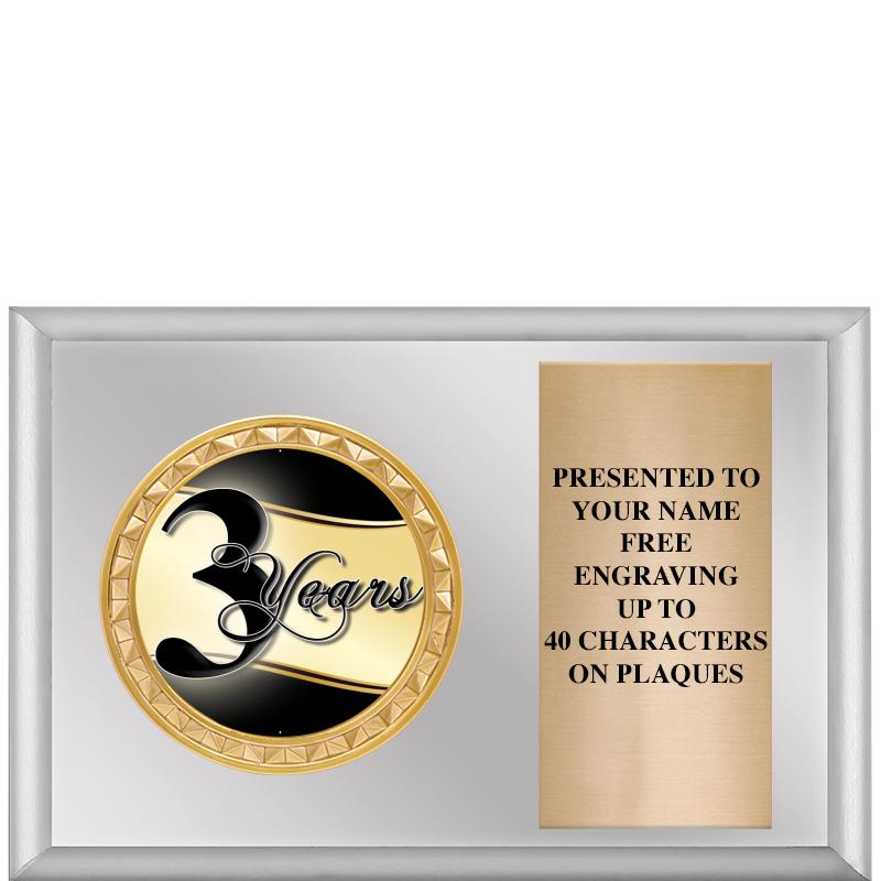 6" X 4" SILVER INSERT PLQ