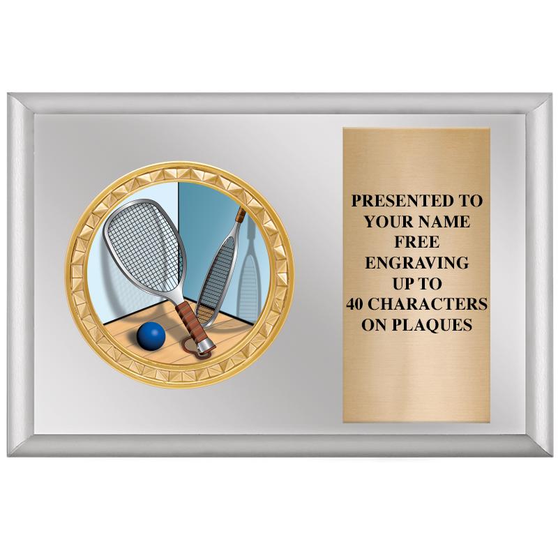 6" X 4" SILVER INSERT PLQ