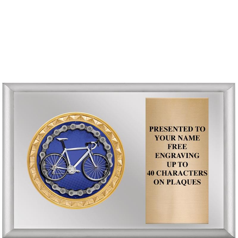 6" X 4" SILVER INSERT PLQ