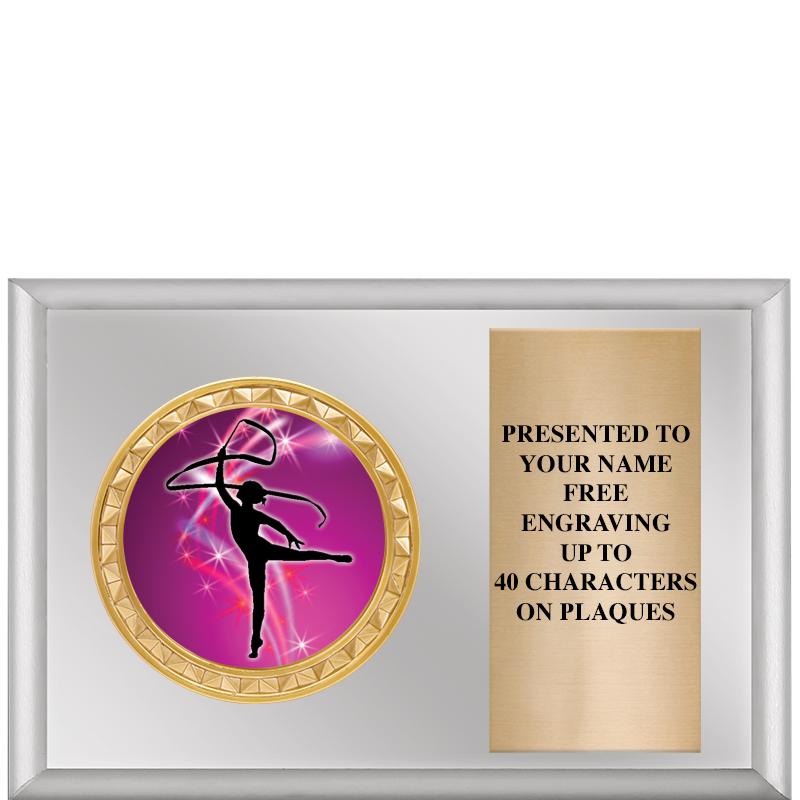 6" X 4" SILVER INSERT PLQ