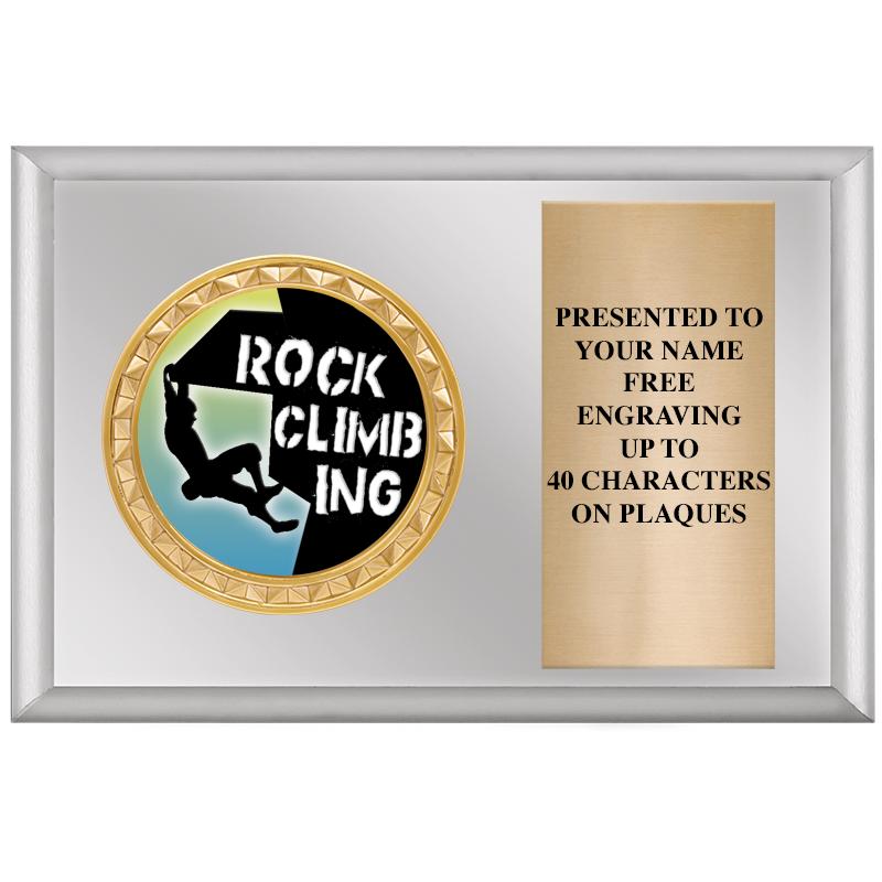 6" X 4" SILVER INSERT PLQ