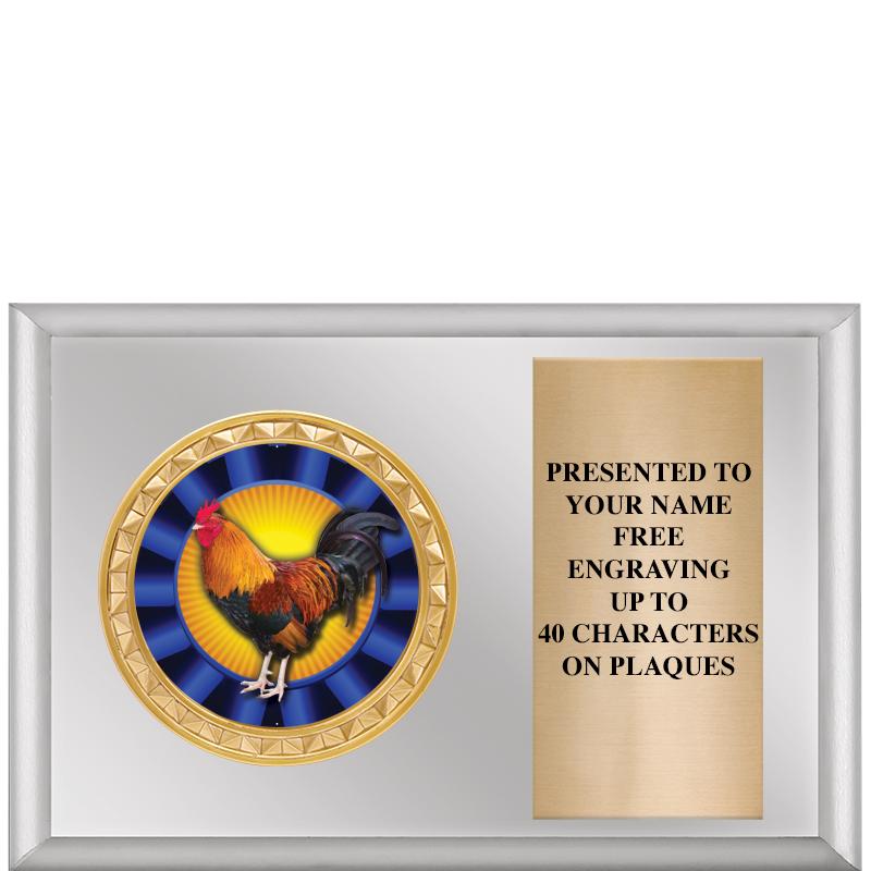 6" X 4" SILVER INSERT PLQ