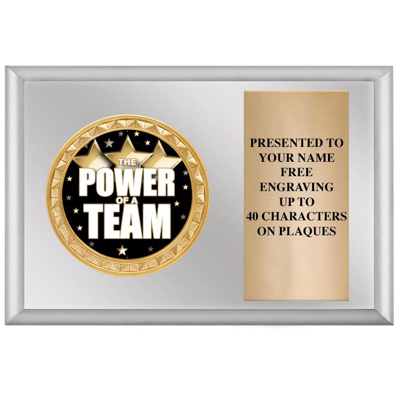 6" X 4" SILVER INSERT PLQ