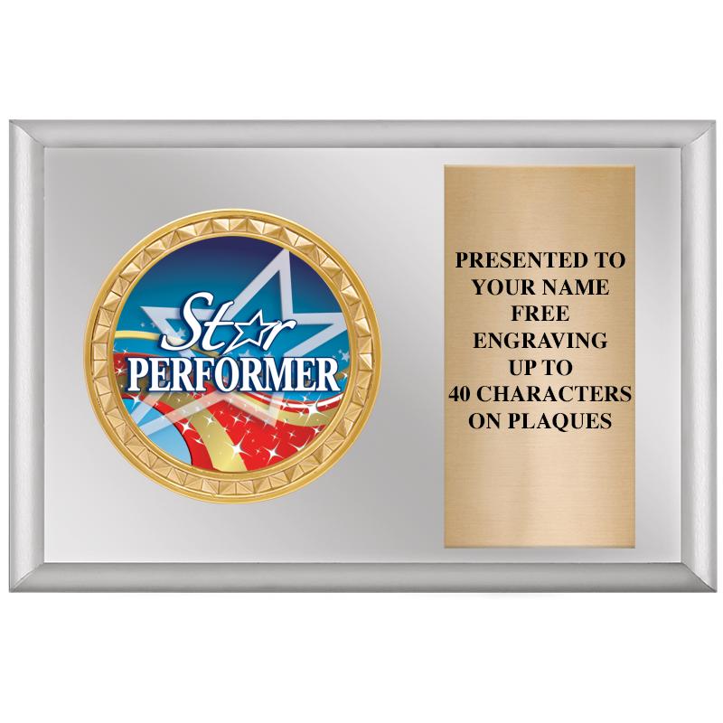 6" X 4" SILVER INSERT PLQ