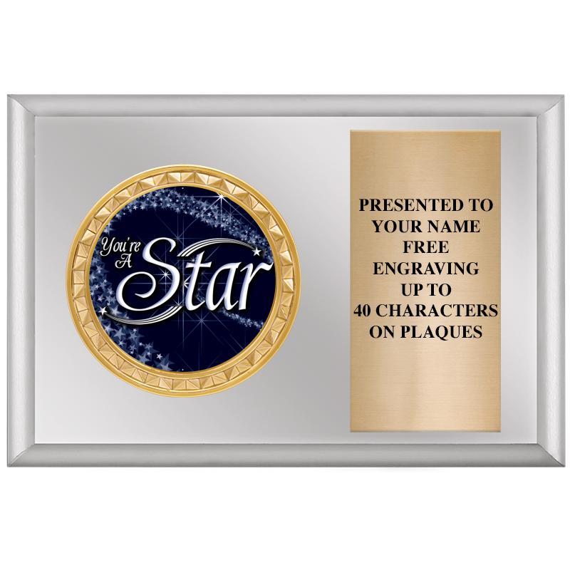 6" X 4" SILVER INSERT PLQ