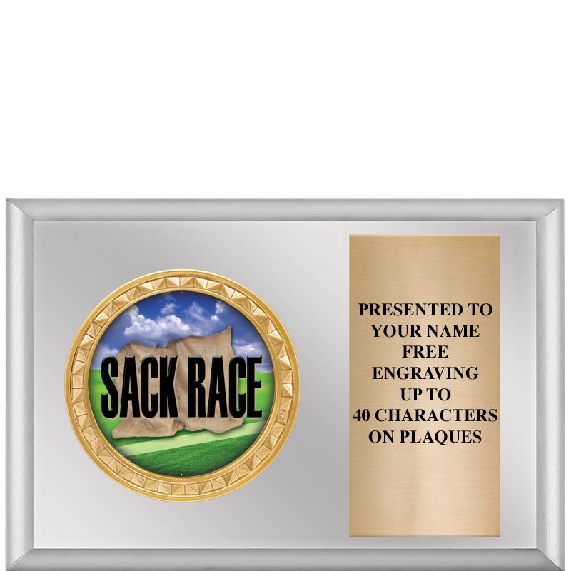 6" X 4" SILVER INSERT PLQ