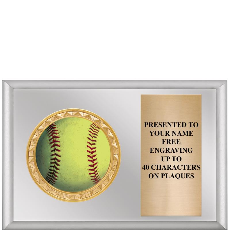 6" X 4" SILVER INSERT PLQ