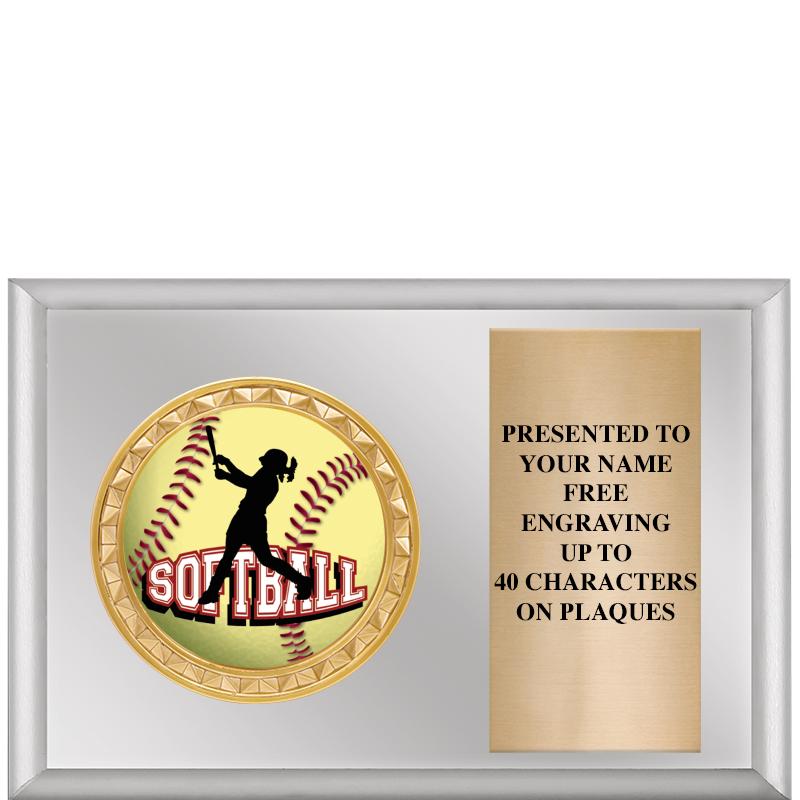 6" X 4" SILVER INSERT PLQ