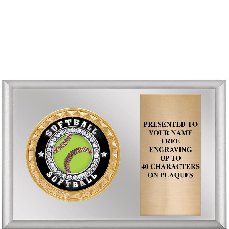 6" X 4" SILVER INSERT PLQ