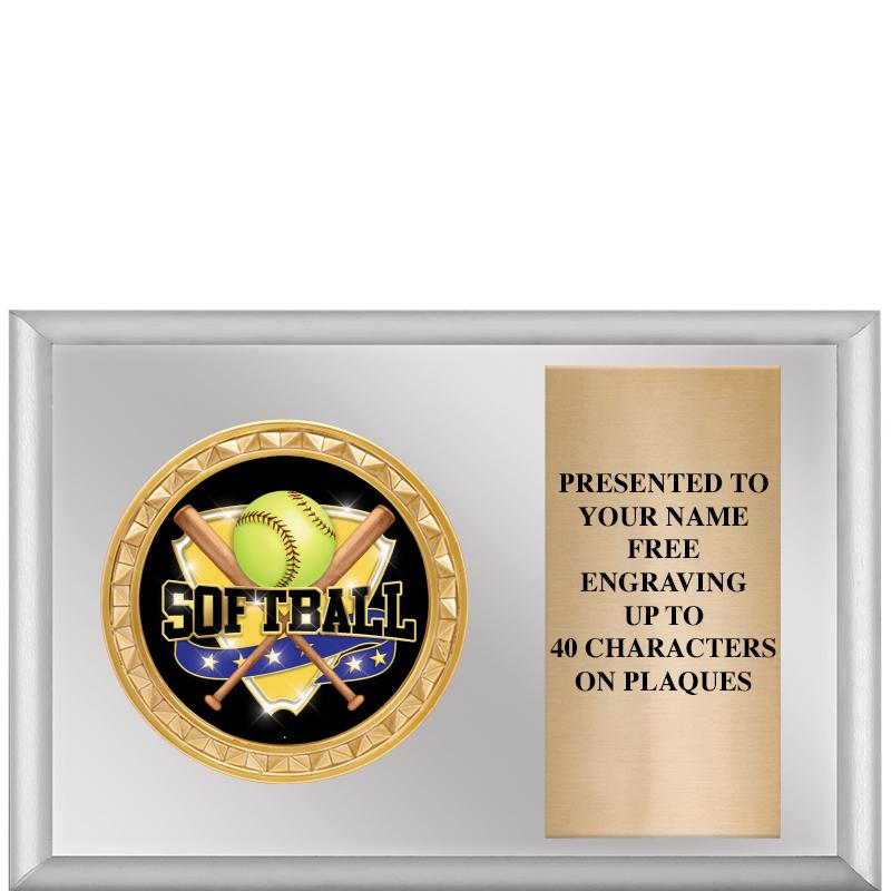 6" X 4" SILVER INSERT PLQ