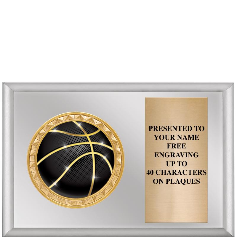 6" X 4" SILVER INSERT PLQ