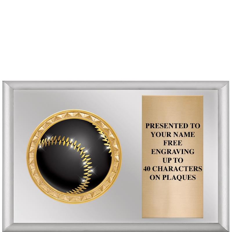 6" X 4" SILVER INSERT PLQ